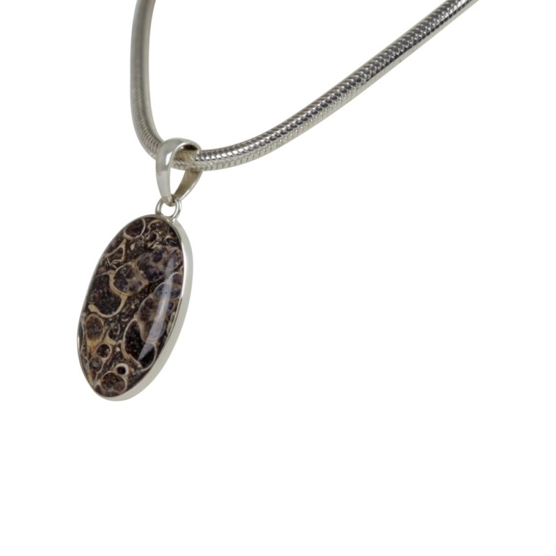 A simple Oval Shaped Turtella Agate Set on Sterling Silver Open Back bazel Secondary image