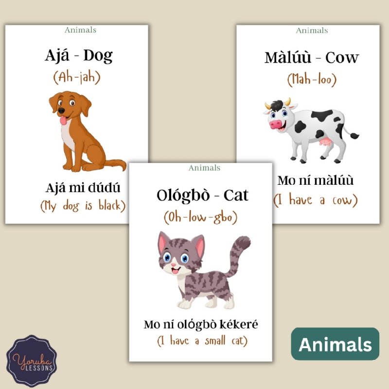 A – Yoruba Flashcards To Learn Vocabulary – Food, Verbs and Things in The House (Physical pack) - Flashcards/Learning Resources - British D'sire
