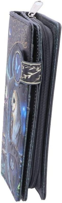 B4864P9 Lisa Parker Fairy and Owl Purse 18.5Cm, PU, Black, One Size - Women's Wallets - British D'sire