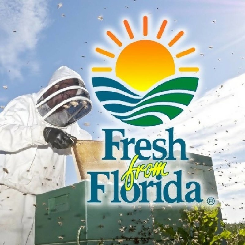 Badgers Honey Spoon -Blackberry Mango Tea - Kitchen Accessories - British D'sire