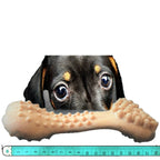 Forever Paws Bam-Bam-Bone - XL Extreme Bamboo Dog Chew Toy (18cm) - Dog chew toy - British D'sire