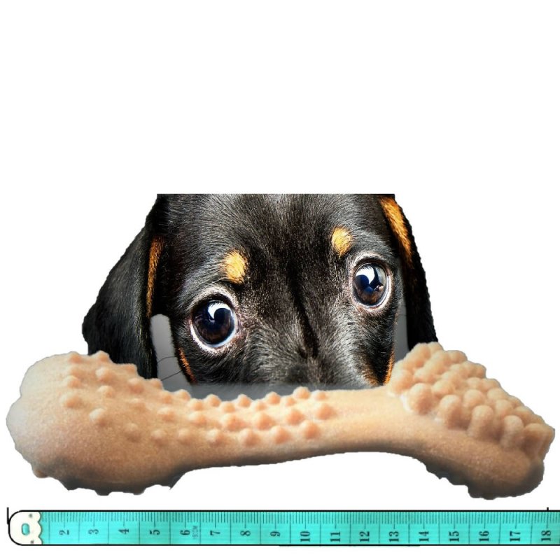 Forever Paws Bam-Bam-Bone - XL Extreme Bamboo Dog Chew Toy (18cm) - Dog chew toy - British D'sire