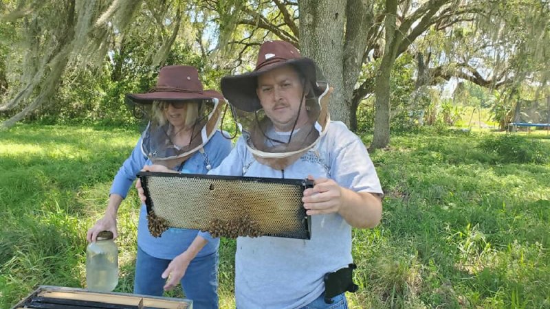 Honey Badgers Bee Farm 5- Pepper Smoked Honey - Kitchen Accessories - British D'sire