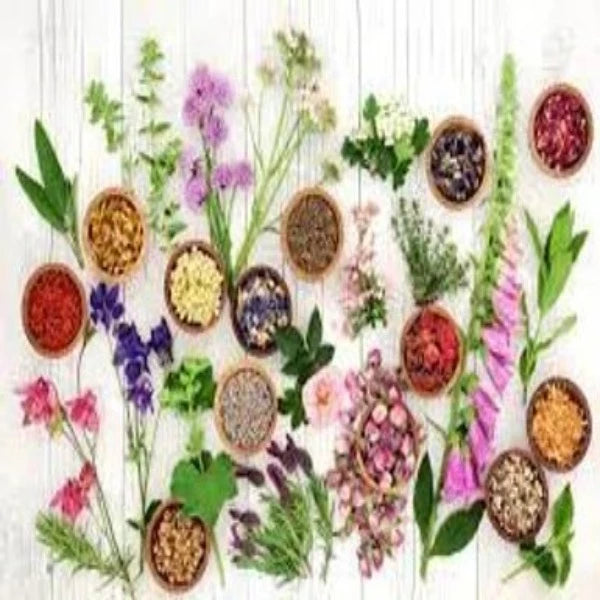 iLM Hand & Body Wash Herbal Flowers - Body Care - British D'sire