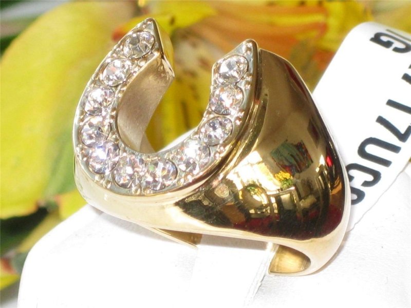 Jewellery Kingdom 1CT Lucky Horse Shoe Simulated Diamond Classy Gold Steel Mens Ring - Jewelry Rings - British D'sire
