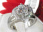 Jewellery Kingdom Ladies Engagement Solitaire Pretty Stainless Steel Ring (Silver) - Rings - British D'sire