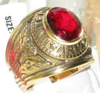 Jewellery Kingdom Unites States Ruby Oval Cubic Zirconia Signet Pinky Steel Mens Army Ring (Red & Gold) - Rings - British D'sire