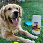 KIVEMA Daily Pet Grooming Wipes for Dog, Cat and Puppies. Cleaning Face Butt Eyes Ears Paws and Body. ((100 Wipes Jar)) - Cleaning Gloves & Cloths & Sets - British D'sire