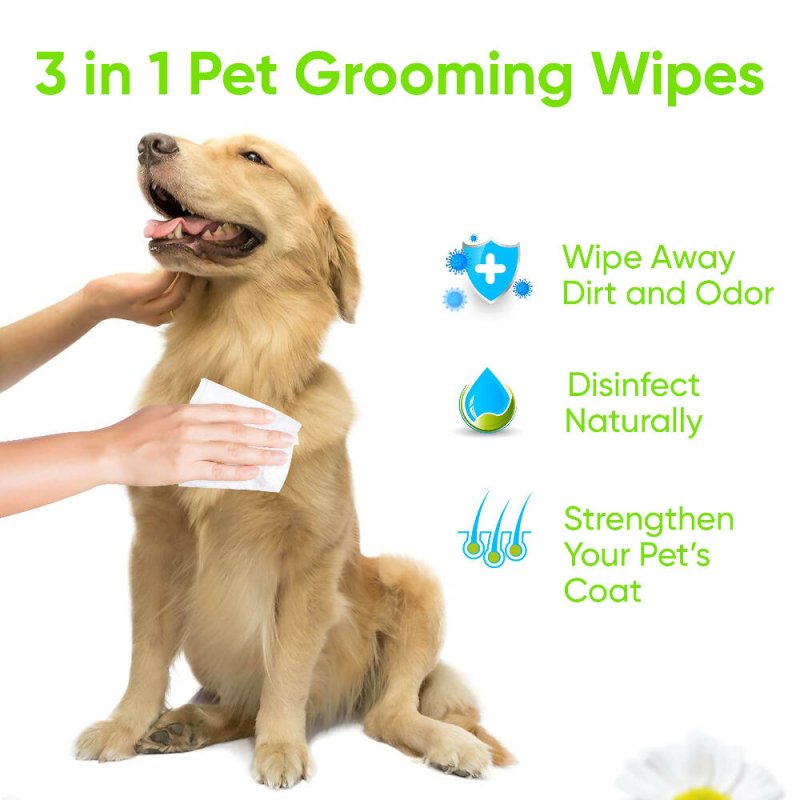 KIVEMA Daily Pet Wipes - Hypoallergenic Dog Wipes - Dog Grooming Wipes - Removes Dirt Buildup and Odor - Unscented - Cat and Dog Wipes for Paws and Butt - Cleaning Gloves & Cloths & Sets - British D'sire