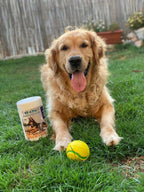 KIVEMA Dog Eye Wipes Tear Stain, Daily Cat Dog Eye Cleaner,Pet Tear Stain Remover. removes Dirt and Discharge Around The Eye and Ear Area. (100 Wipes Jar)… - Cleaning Gloves & Cloths & Sets - British D'sire