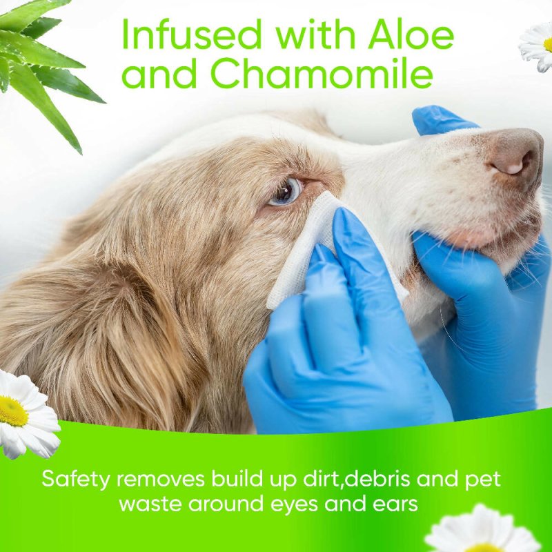 KIVEMA Dog Eye Wipes Tear Stain, Daily Cat Dog Eye Cleaner,Pet Tear Stain Remover. removes Dirt and Discharge Around The Eye and Ear Area. (100 Wipes Jar)… - Cleaning Gloves & Cloths & Sets - British D'sire