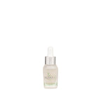 Klara's Powerful Rejuvenating Serum - Face Care - British D'sire