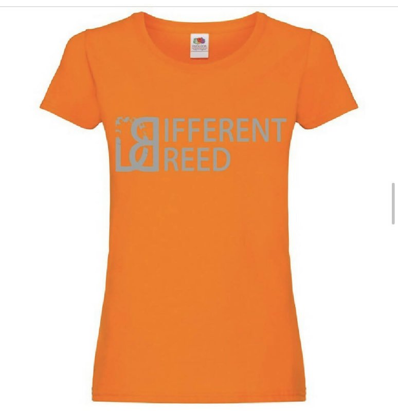 Ladies DB Tshirt - Maternity Clothing - British D'sire