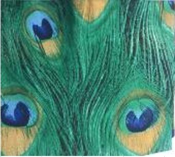 Le Morne Ladies Imitation Silk Scarf Secondary image