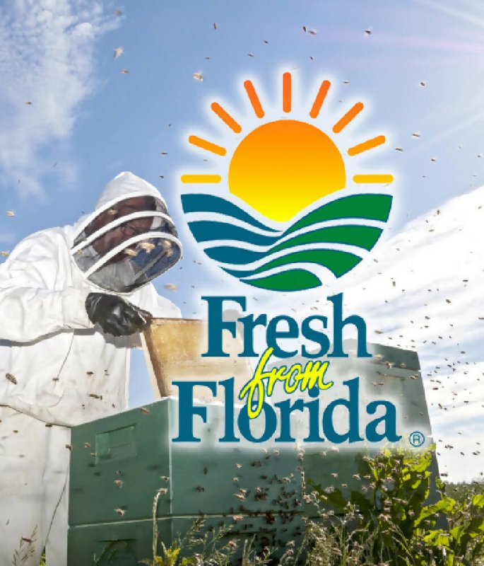 Old Fashion Smoked Bourbon Honey - Kitchen Accessories - British D'sire