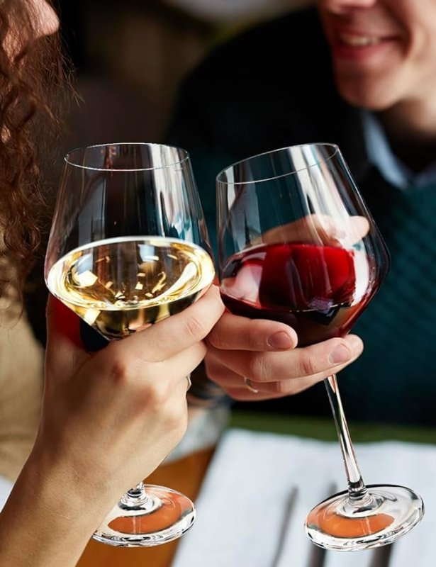 Swanfort Wine Glass Set 4,Lead-Free 484ml Red Wine Glass with Long