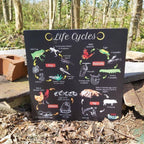 Teddo Play 4-in-1 Life Cycles Portable Educational Poster Board (Large: 30x30cm) Free Wooden Tripod Stand - Learning & Education - British D'sire