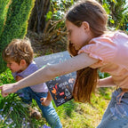 Teddo Play 4-in-1 Life Cycles Portable Educational Poster Board (Large: 30x30cm) Free Wooden Tripod Stand - Learning & Education - British D'sire