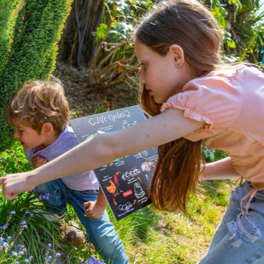 Teddo Play 4-in-1 Life Cycles Portable Educational Poster Board (Large: 30x30cm) Free Wooden Tripod Stand - Learning & Education - British D'sire