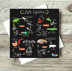 Teddo Play 4-in-1 Life Cycles Portable Educational Poster Board (Large: 30x30cm) Free Wooden Tripod Stand - Learning & Education - British D'sire