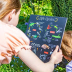 Teddo Play 4-in-1 Life Cycles Portable Educational Poster Board (Large: 30x30cm) Free Wooden Tripod Stand - Learning & Education - British D'sire