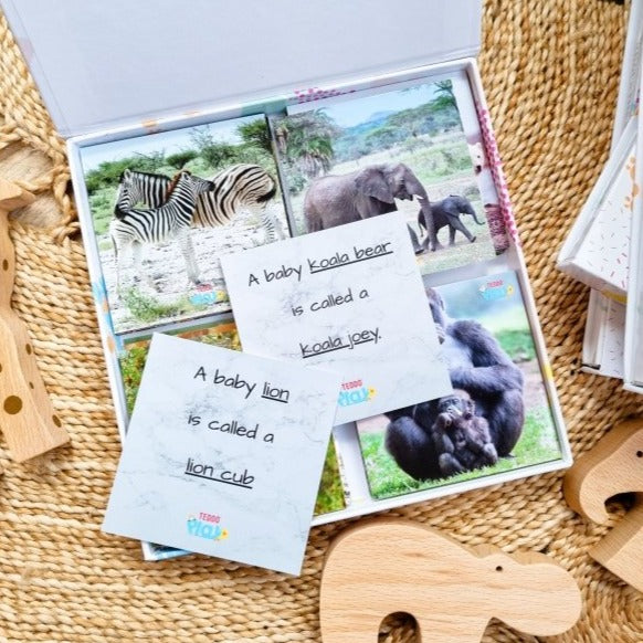 Teddo Play Animals and their Young - Set of 40 - Learning & Education - British D'sire Main image