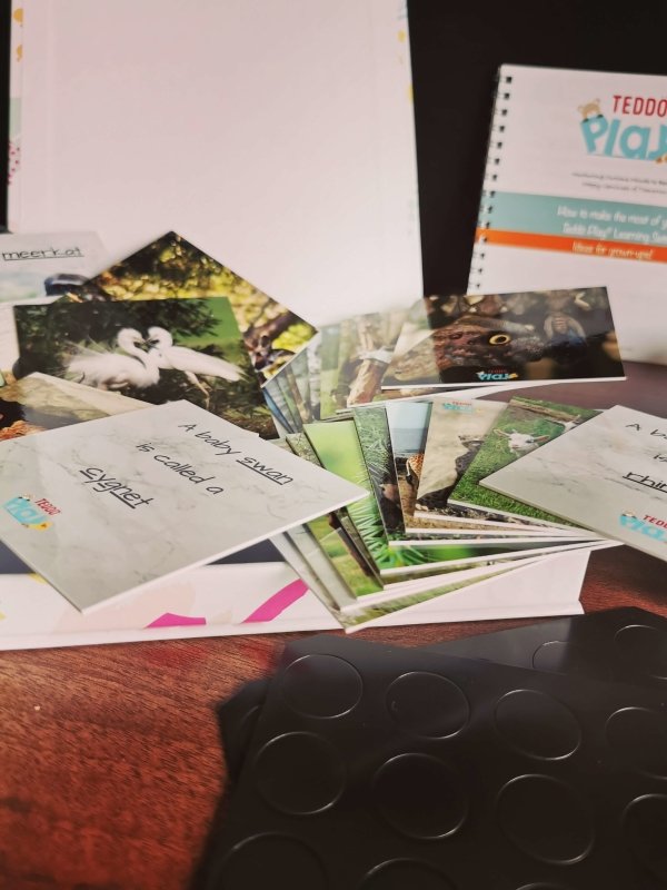 Teddo Play Animals and their Young - Set of 40 - Learning & Education - British D'sire