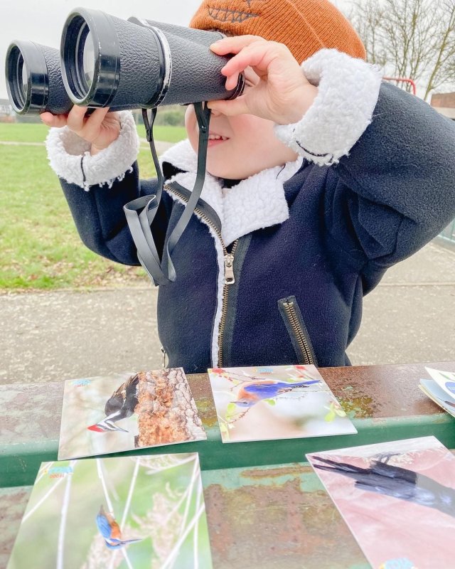 Teddo Play Beautiful Birds and Insects (Lesser-Known Facts Edition) Set of 40 Secondary image