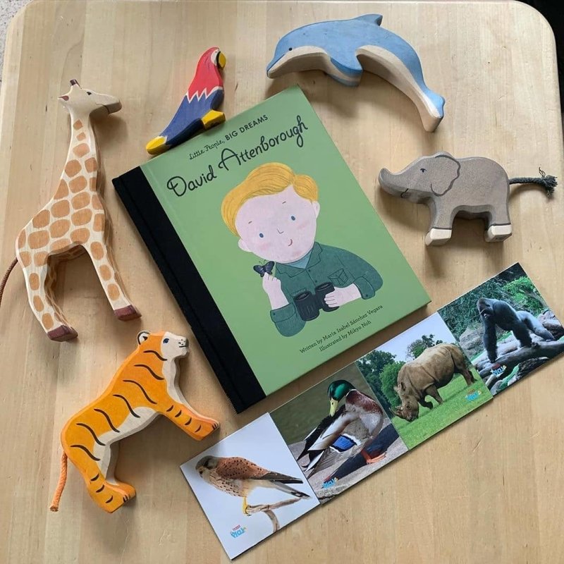 Teddo Play Birds of Prey, Wild Animals, Insects and Farm Animals (Letter-Linking Spelling Edition) Set of 40 - Learning & Education - British D'sire