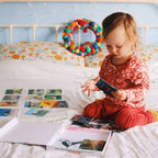 Teddo Play Birds of Prey, Wild Animals, Insects and Farm Animals (Letter-Linking Spelling Edition) Set of 40 - Learning & Education - British D'sire