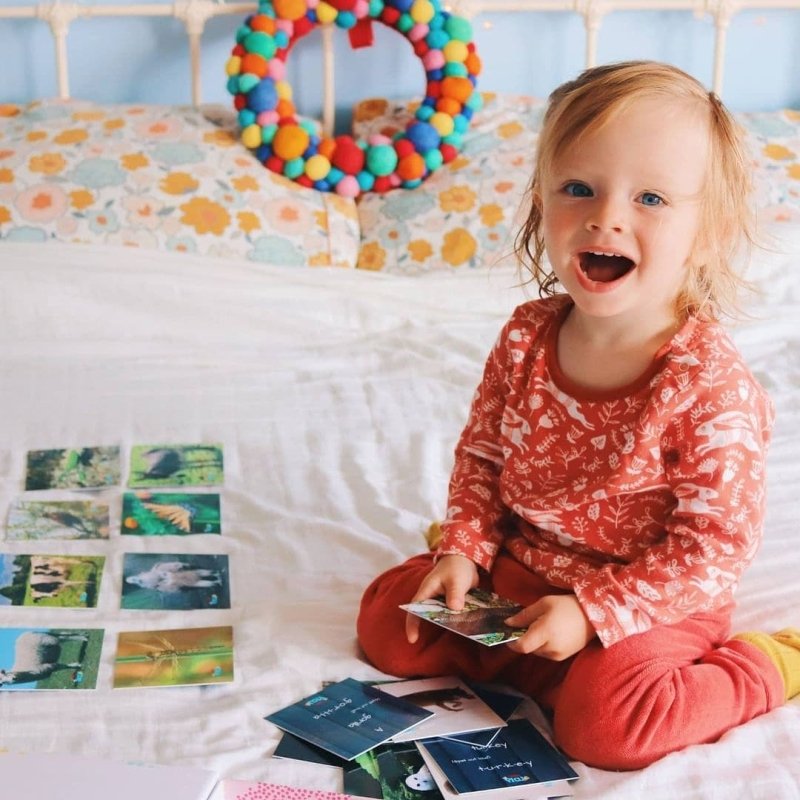 Teddo Play Birds of Prey, Wild Animals, Insects and Farm Animals (Letter-Linking Spelling Edition) Set of 40 - Learning & Education - British D'sire Main image