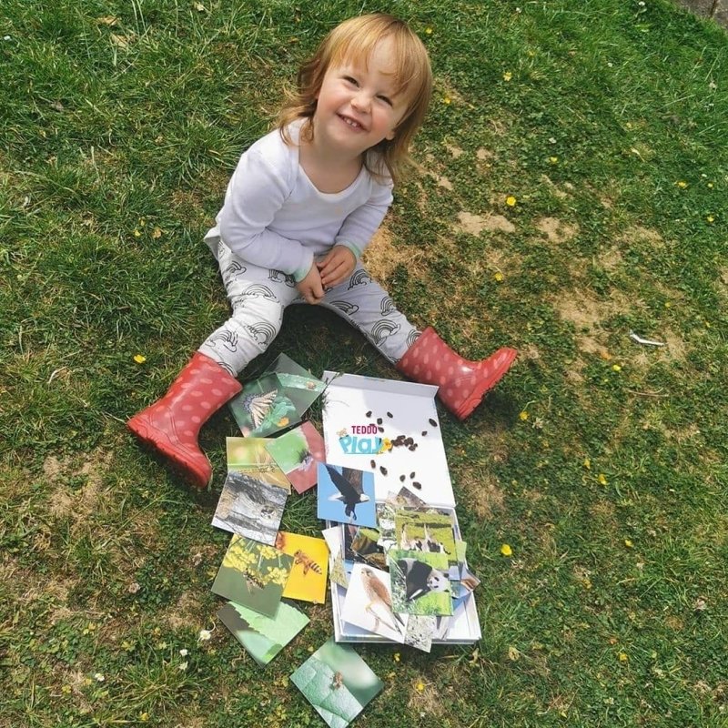 Teddo Play Birds of Prey, Wild Animals, Insects and Farm Animals (Letter-Linking Spelling Edition) Set of 40 - Learning & Education - British D'sire