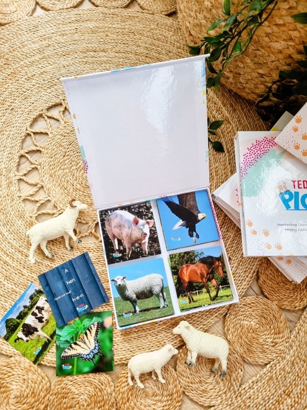 Teddo Play Birds of Prey, Wild Animals, Insects and Farm Animals (Letter-Linking Spelling Edition) Set of 40 - Learning & Education - British D'sire