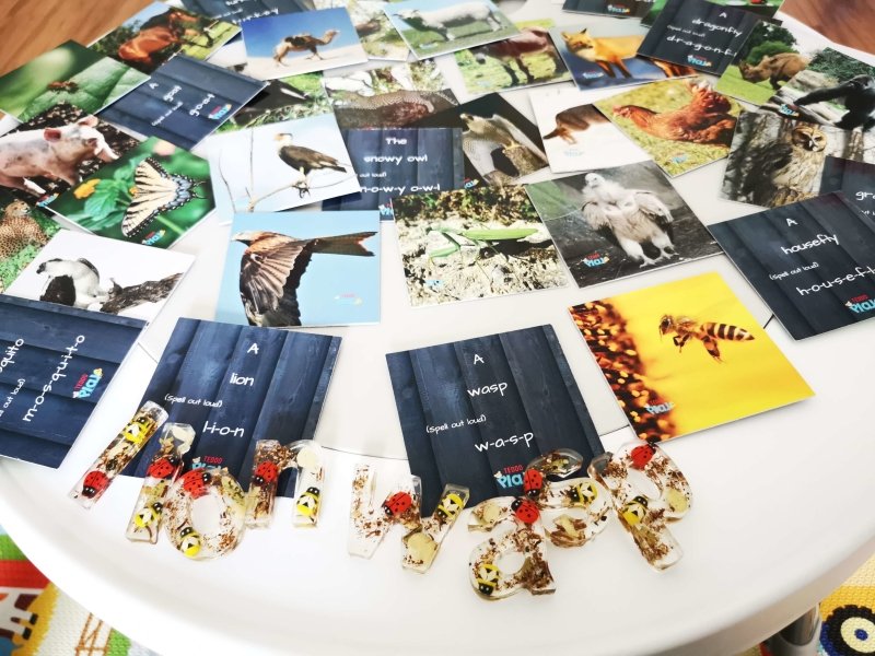 Teddo Play Birds of Prey, Wild Animals, Insects and Farm Animals (Letter-Linking Spelling Edition) Set of 40 - Learning & Education - British D'sire