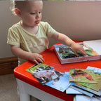 Teddo Play Birds of Prey, Wild Animals, Insects and Farm Animals (Letter-Linking Spelling Edition) Set of 40 - Learning & Education - British D'sire