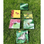 Teddo Play Birds of Prey, Wild Animals, Insects and Farm Animals (Letter-Linking Spelling Edition) Set of 40 - Learning & Education - British D'sire