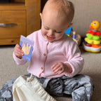 Teddo Play Birds of Prey, Wild Animals, Insects and Farm Animals (Letter-Linking Spelling Edition) Set of 40 - Learning & Education - British D'sire