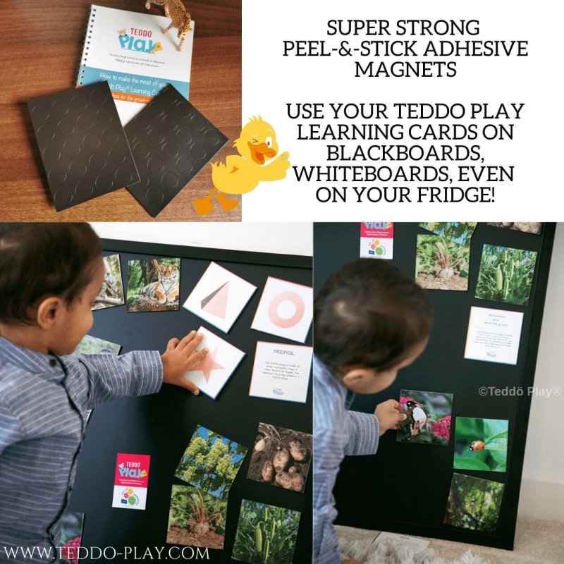 Teddo Play Countries, Cities, Flags, Borders & More (40+ Popular Countries of the World Set) - Learning & Education - British D'sire