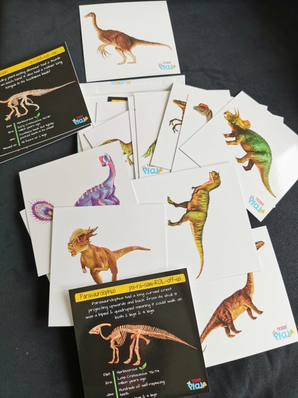 Teddo Play Dinosaurs - From Flesh To Bones! (Collector's Edition) - Learning & Education - British D'sire