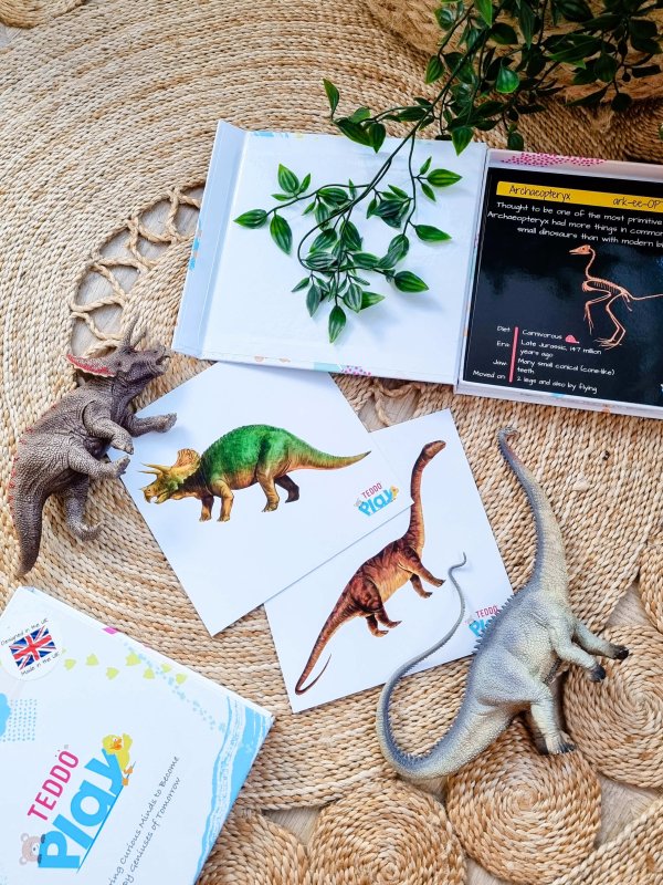 Teddo Play Dinosaurs - From Flesh To Bones! (Collector's Edition) - Learning & Education - British D'sire