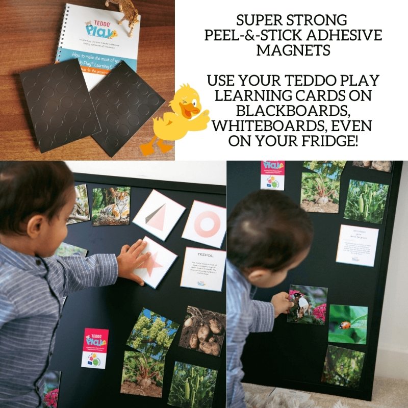 Teddo Play More Than Just Shapes! (34 2D and 3D Shapes Learning Cards) - Learning & Education - British D'sire