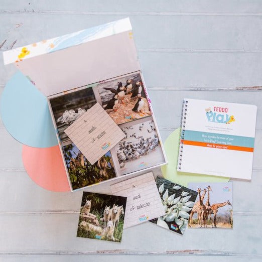 Teddo Play Names of Groups (Collective Nouns) Set of 40 - Learning & Education - British D'sire Main image