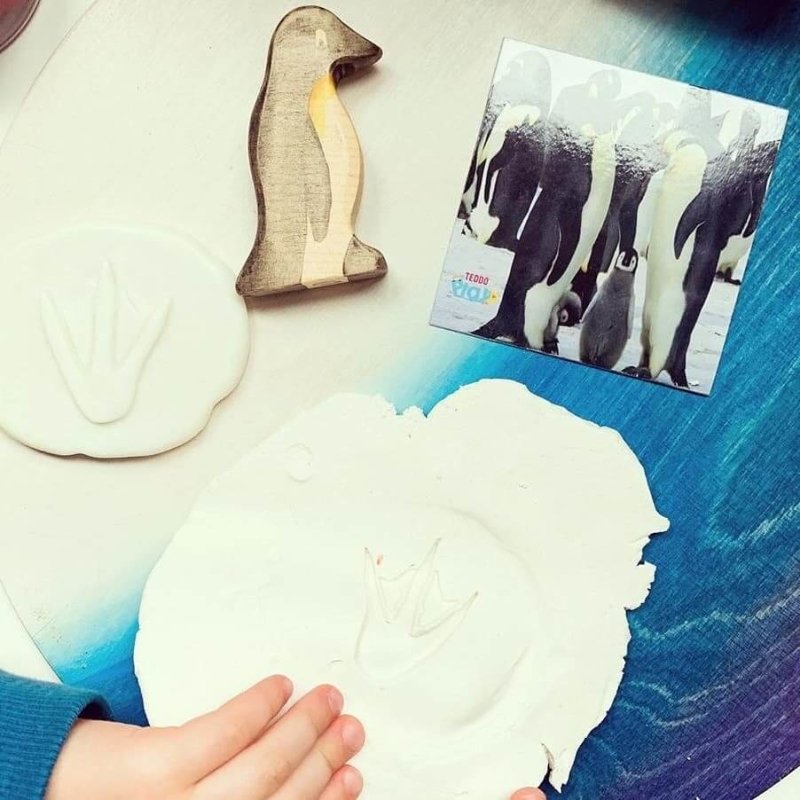 Teddo Play Names of Groups (Collective Nouns) Set of 40 - Learning & Education - British D'sire