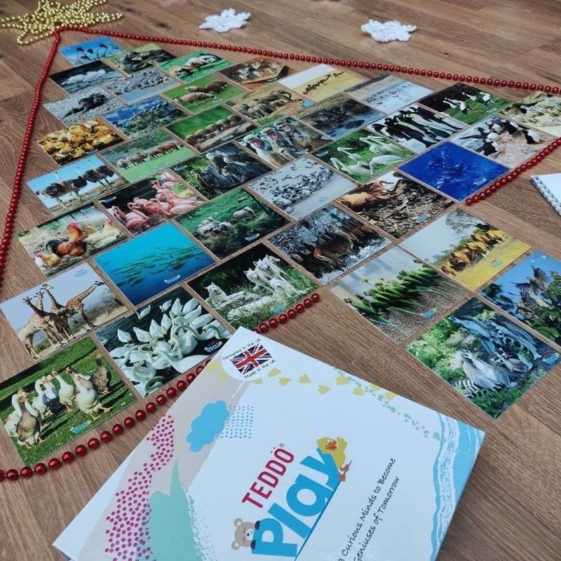 Teddo Play Names of Groups (Collective Nouns) Learning Cards - Set of 40 Secondary image