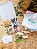 Teddo Play Names of Groups (Collective Nouns) Set of 40 - Learning & Education - British D'sire