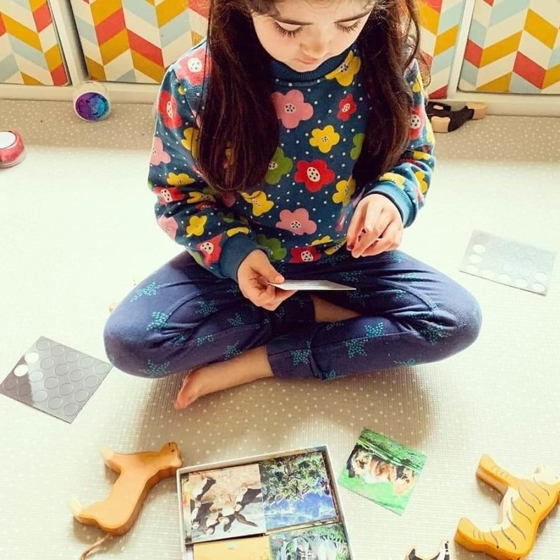 Teddo Play Names of Groups (Collective Nouns) Set of 40 - Learning & Education - British D'sire