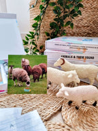 Teddo Play Names of Groups (Collective Nouns) Set of 40 - Learning & Education - British D'sire