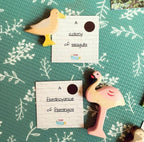 Teddo Play Names of Groups (Collective Nouns) Set of 40 - Learning & Education - British D'sire