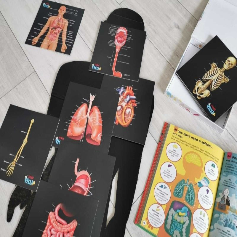Teddo Play Our Bodies - Inside & Out (Organs, Body Parts, Skeletal System) - Learning & Education - British D'sire Main image