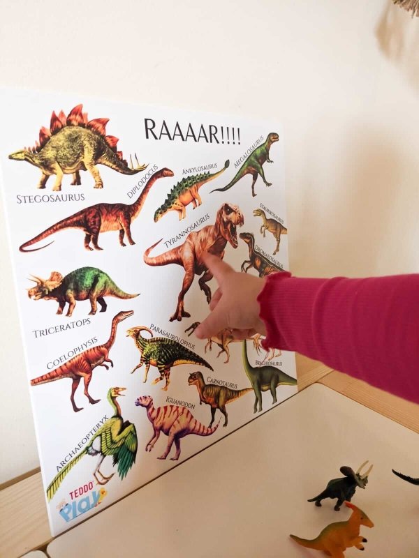 Teddo Play RAAR! Dinosaurs Portable Educational Poster Board (Large: 30x30cm) Free Wooden Tripod Stand - Learning & Education - British D'sire